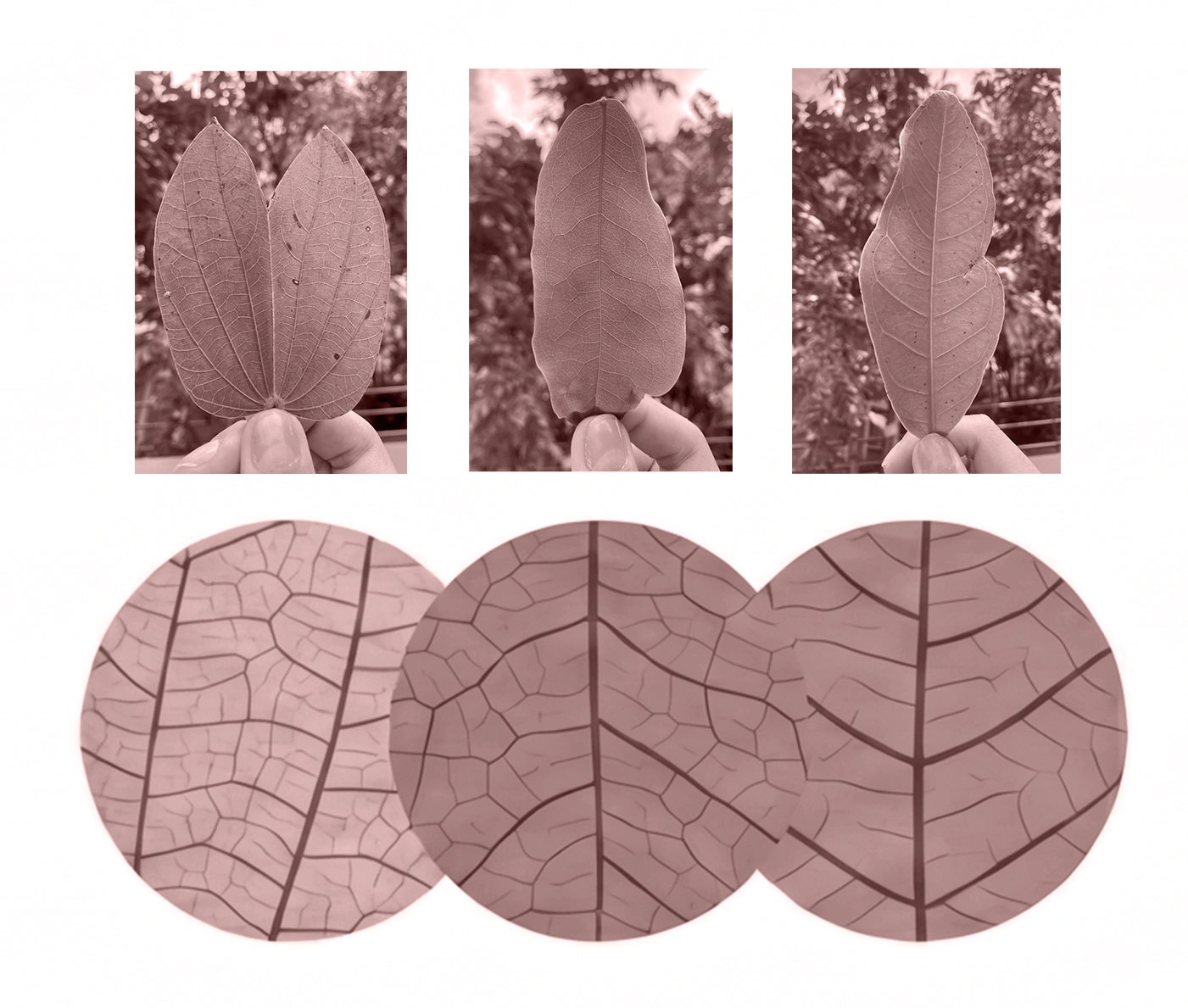 ADAPTIVE SOLAR SCREEN — design documentation (formal a)